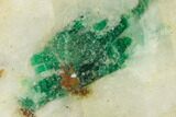 Beryl (Var Emerald) in Calcite - Khaltoru Mine, Pakistan #138912-1